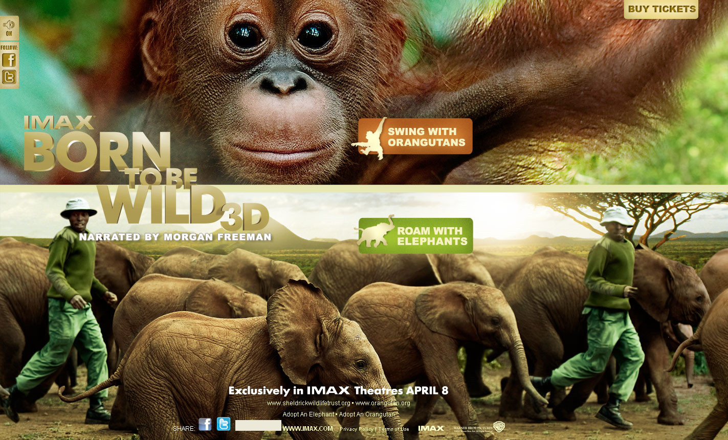 〓 酷站网站截图-美国2011野生动物纪录片《天