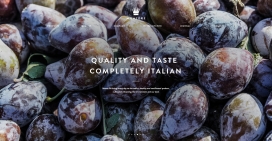 意大利Monte Ré干燥水果零食合作社酷站！很漂亮大气的水果摄影图。