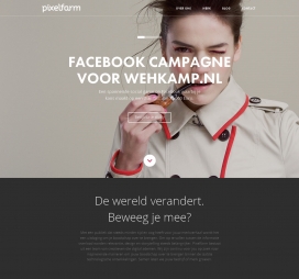荷兰Pixelfarm营销机构酷站。