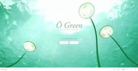 一个限量版的神奇世界！荷兰新绿茶HTML5酷站。