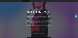 日本BUZZHOOK广告品牌策划设计机构！
