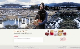 日本草莓生产种植基地网站