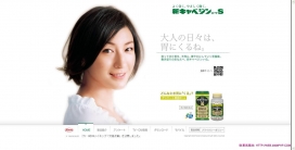 日本胃痛医药产品展示网站