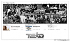 中国上海三子数码科技互动设计公司网站