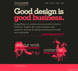 欧美DesignWise•弗吉尼亚半岛网页和图形设计工作室