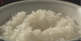 日本味之素大米粮食和蛋公司