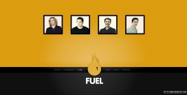 欧美燃料煤气品牌公司