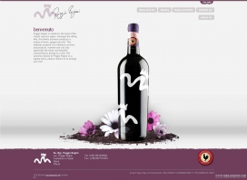 意大利红酒网站。波焦女王：基安蒂克拉西科在基安蒂，托斯卡纳，意大利酒