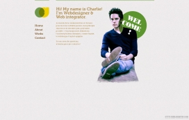 法国Charlie Dion个人网页设计师，网页设计师，网页设计，网站，摄影，印刷，名片，第戎，网站，网站管理员