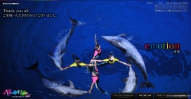 日本探险专题-海洋公园网站。海豚表演