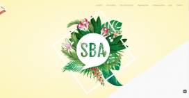 Agence SBA数字解决方案-网络营销与视觉传达！
