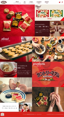 韩国不二家巧克力曲奇饼饼干食品酷站！