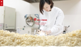 日本Kyoei Food顶级品牌面包屑生产销售开发！
