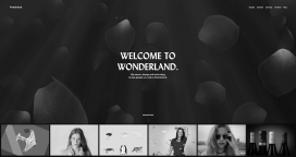 Wonderland精品体验设计工作室！以不同的方式做事，我们在线提供独特的精彩用户体验，融合艺术与技术和令人惊叹的动画。