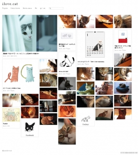 加泰罗尼亚爱猫宠物爱好者网站。