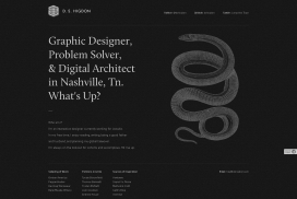 D. S. Higdon互动设计网站