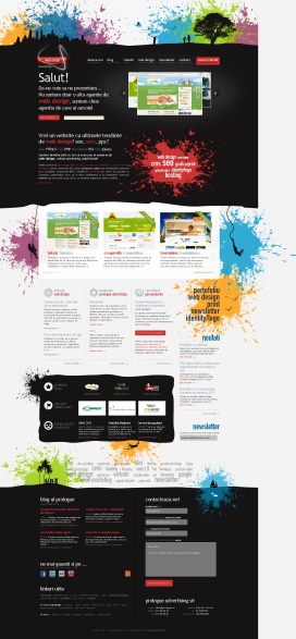 罗马尼亚prologue网页设计-电子邮件营销-CMS-电子商务-网页设计！爆破水墨形式