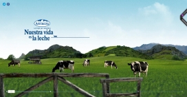 我们的生活是牛奶！我们的奶牛喂不错的草。拖动鼠标看漂亮辽阔草原上的奶牛。