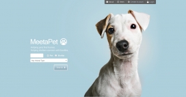 MeetaPet宠物家园-重点是对帮助宠物寻找家园和帮助庇护所连接家庭。我们希望达到一个更大的在线观众来帮助宠物。