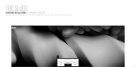 当代雕塑艺术项目网站！很不错的左右移动特效。整体比较清爽干净。