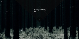 瑞典季节！网站首页是采用很清晰的森林光背景视频