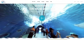 请告诉我们孩子什么是真正的大海！韩国济州韩华水行星海域生物馆景点酷站。