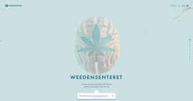 Weedensenteret带你看大麻是如何影响你的大脑和身体！