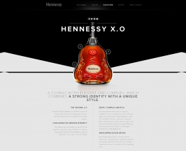 Hennessy Cognac轩尼诗干邑X.O酒收藏！