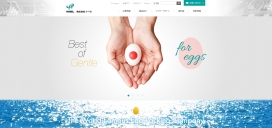 NABEL鸡蛋分选包装系统企业酷站！
