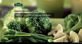 韩国SEVEN SPRINGS绿色蔬菜网站