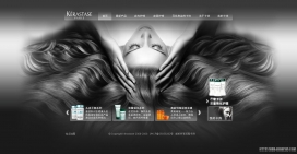法国欧莱雅集团旗下产品KéRASTASE卡诗美容网站中国官方版本