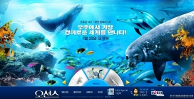 韩国海洋生物公园