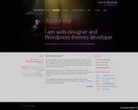 欧美自由职业者的网页设计师及开发人员的WordPress主题| WordPress的设计师