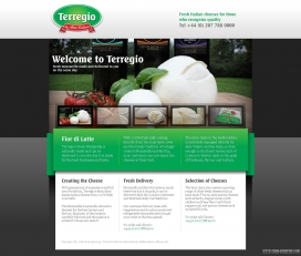 意大利Terregio干酪食品网站