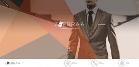 Zeebraa-商务师！商业技师的新品种，提供高品质的咨询和量身定制的技术开发服务。