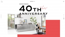 日本Sanwakan Panni 40周年纪念网站!