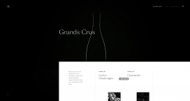 法国Grands Crus葡萄酒！
