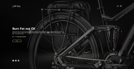 STROM-WERK-炭纤维自行车！
