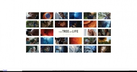 欧美Tree of Life生命之树网站。2人透过生活模式。