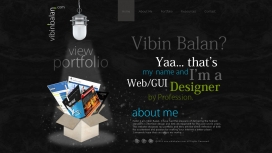 Vibin Balan-网页-GUI设计