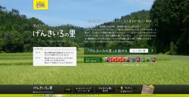日本颜色元气元气村试图项目的林地！