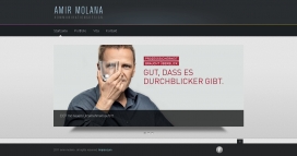 德国Amir Molana艺术网站！