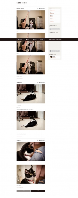 日本kuro-siro宠物猫训练网站！
