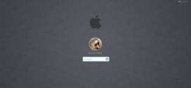 Mac OS X苹果系统！