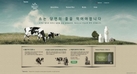 韩国natural-plan养乐多鲜牛奶食品网站！复古风设计