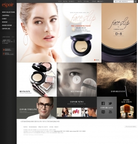 韩国时尚化妆专业品牌ESPOIR网站！