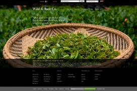 中国工匠茶-有机茶-中国绿茶！茶叶爱好者和世界各地的中国工匠茶