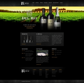 葡萄牙Vinícola Del Rei酒庄产品展示网站！现在酒厂有能力生产超过300万升葡萄酒和其他葡萄衍生的饮料，例如果汁，醋，服务于不同的州。