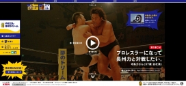 日本拳击手拳击赛网站。