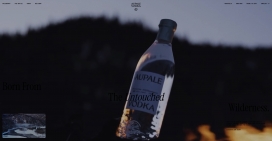 AUPALE VODKA-以不同的方式蒸馏酒！